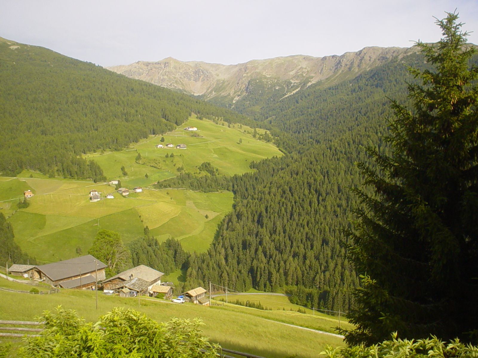Aumentano In Italia Gli Ettari Di Boschi E Foreste Gestiti In Modo 